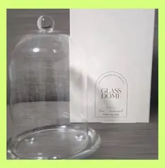 ✨新品✨ 3COINS スリコ ガラスドーム ガラス ウェルカム インテリア