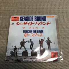 Item thumbnail for item 313d0705-86d0-4d1d-90ec-7fb8b3d008a3