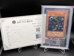 鑑定書付【ARS10】ゼクロム Zekrom 25th 英語版 - メルカリ