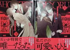 踊る阿呆と腐れ外道 上・下巻