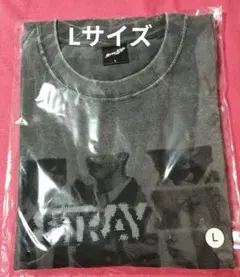 StrayKids スキズ RUN IT ポップアップ Tシャツ 黒 Lサイズ