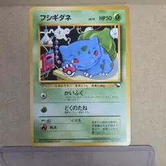 フシギダネ 旧裏 イントロパック - メルカリ