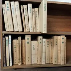 新日本出版社 宮本百合子全集 1巻〜25巻 - メルカリ