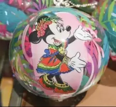 ディズニーランド カプセルトイ