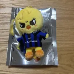 KARMA SKZOO ver. ポガリ　カルマ　ぬいぐるみ