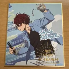 ヒロアカ　ミニ色紙　轟焦凍