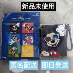 ディズニー サングラス ポーチ ランダム シークレット　ミッキー