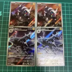シママ　ゼブライカ　AR