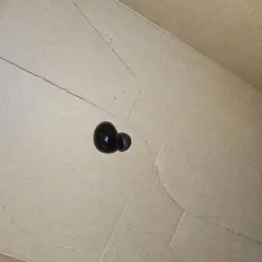 Galaxy Buds2　オニキス　R　右のみ　国内版のサムネイル