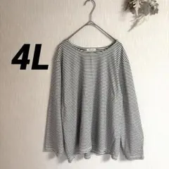 レディース 長袖シャツ 4L ボーダー 白黒 大きいサイズ