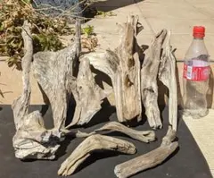 Item thumbnail for item ada8a1ef-334c-4d31-ba81-83abb06a83c8