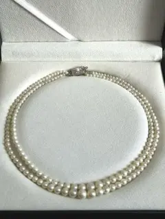 Item thumbnail for item f64bb73b-81fb-4cec-85e4-cba56cfd9b5b