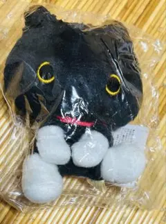 90周年記念　 サンエックス　にんきものぬいぐるみ　 靴下にゃんこ　限定　希少
