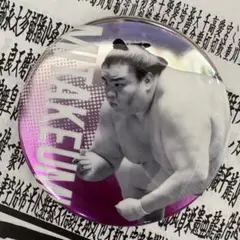 御嶽海　関取全員集合缶バッジ　大相撲ガチャ　大相撲カードおまけ付き