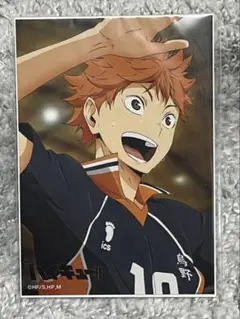 ハイキュー‼︎JF2015 ピクチャーズコレクション日向+影山