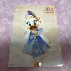 スペシャルフォト　スペフォ　40周年　デイジー