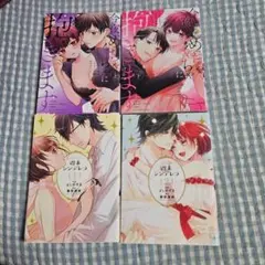 TL 週末シンデレラ 今夜、めちゃくちゃに抱きます 完結