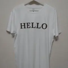 Item thumbnail for item 80842eac-b447-44e9-a7df-c67a49c68f63