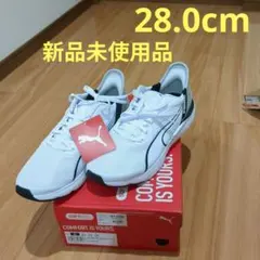 Item thumbnail for item 56a26857-607d-4442-ae16-3bc808893824