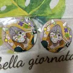 WIND BREAKER ウィンブレ でびデコパーカー 缶バッジ 兎耳山丁子