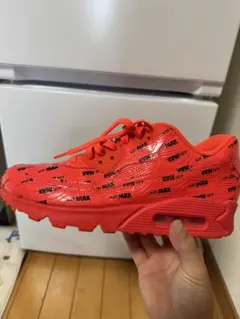 NIKE AIR MAX レッド 10.5