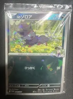 2026年最新】Nのゾロア プロモの人気アイテム - メルカリ