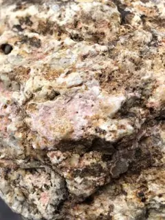 Item thumbnail for item bd99fe91-d352-48e2-9120-5b05d5b4174c