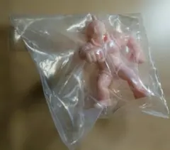 キン肉マン完璧超人始祖編　キンケシ 27　キン肉マンマリポーサオレンジ①
