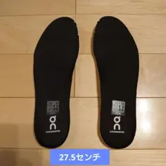On Cloudmonster インソール　27.5cm
