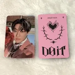StrayKids DO IT SKZOO スピーカー トレカ チャンビン