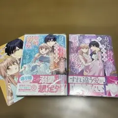 身代わり秒バレ令嬢の契約結婚なのに、騎士公爵が「絶対に離婚しない」と溺愛してく…