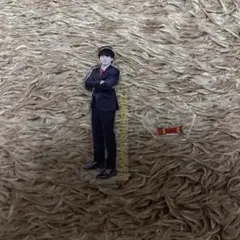 ウルフドッグス名古屋 スポーツ選手