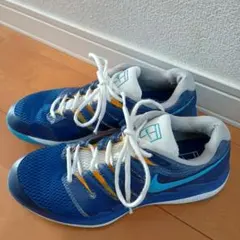 Nike インドアカーペット用テニスシューズ　28cm【ナイキ】