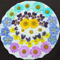 じゅん様 リクエスト 3点 まとめ商品