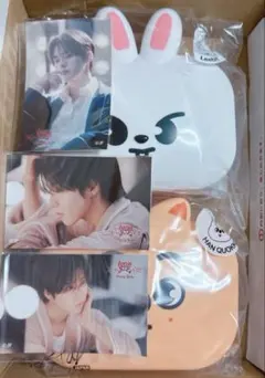 【未開封】SKZOO ミニボックス＆ステッカーLeebit HAN QUOKKA