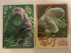 鳥羽水族館 コレクションカード vol.2 カメ吉 レア - メルカリ