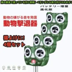 Item thumbnail for item f4625e60-a9ce-40cb-8f73-f1c96dccb4d5