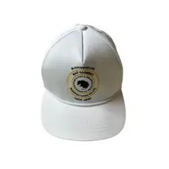 RATS Circle Logo Cap