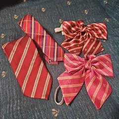 Item thumbnail for item 211ffb4e-499e-4673-99a7-a8829c17daeb