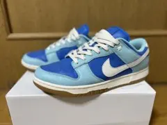 正規店購入新品未使用品！ナイキ ダンクロー HQ1519 03 サイズ28.5 