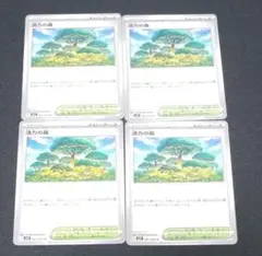 活力の森　U　4枚