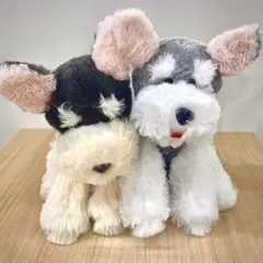 シュナとボブ　お耳たったよ2匹セット