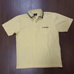 Item thumbnail for item 3064a99e-9e5b-4bda-bc6c-f35c92ac6bc9