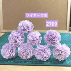 ソラフラワー　2709