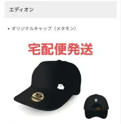 ぽこあポケモン エディオン特典キャップ