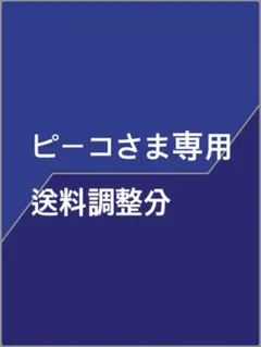 ピーコさま専用 送料調整分