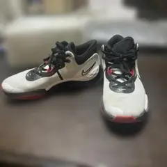 【美品】NIKE RENEW ELEVATE III バッシュ30cm