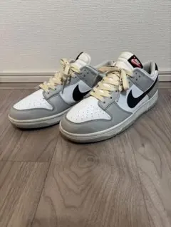 【しんご様専用】ナイキ ダンク ロー SE ロッタリー 28cm