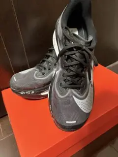 Item thumbnail for item 0019a384-df09-44c7-bded-702b379d3d6b