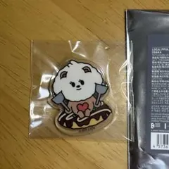 TXT プルバトゥ バムグッ アクリルバッジ 大阪